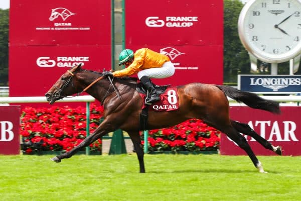 L’offre à ne pas rater du Qatar Prix de l’Arc de Triomphe