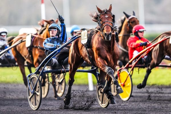 Prime Prix d’Amérique 2025 : combien gagne le vainqueur ?