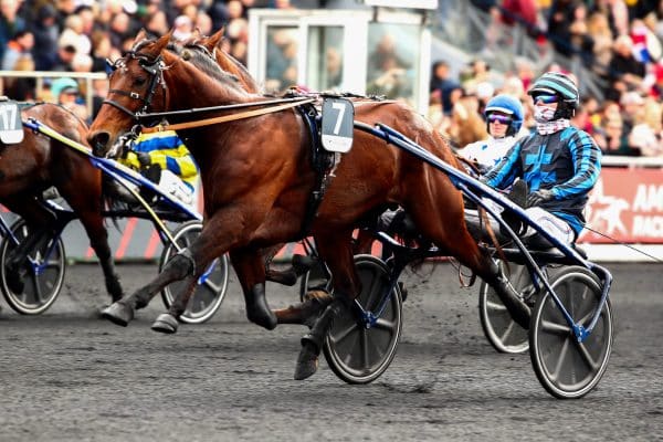Prix d’Amérique Legend Race 2025 : la liste officielle des 18 partants