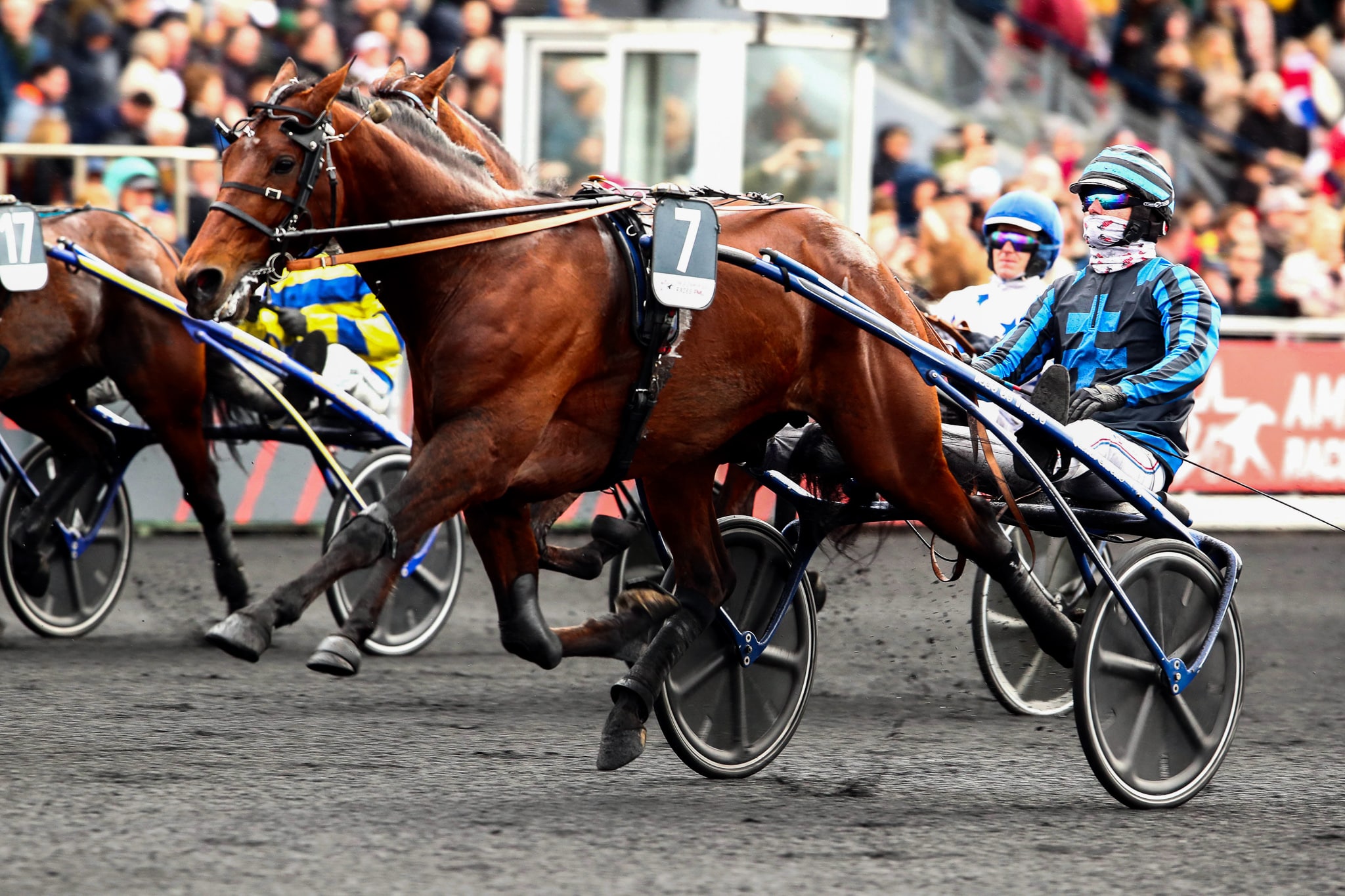 Prix d’Amérique Legend Race 2025 : la liste officielle des 18 partants