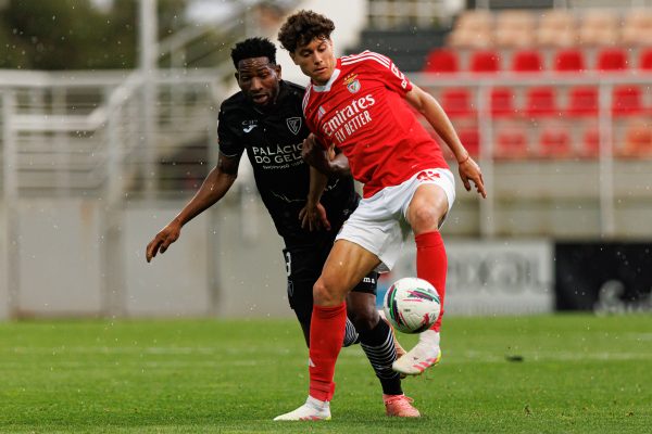 Mercato Strasbourg : 3 choses à savoir sur Rafael Luis, nouveau venu en Alsace