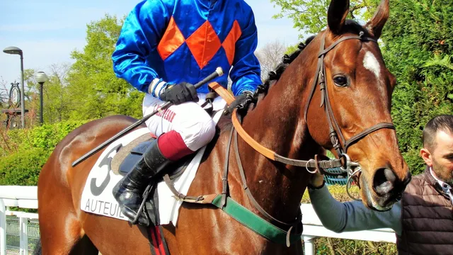 Le Gentil monstre d’Auteuil!
