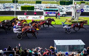 Prix d’Amerique 2025 : partants, pronostic et cote