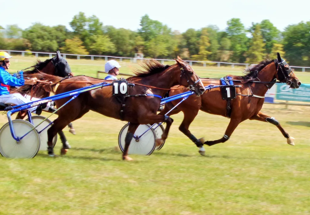 Jean-Pierre Dubois au sulky de Favorite Jenilou