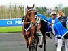Une semaine “qu’hippique” : 27 février au 04 mars 2020