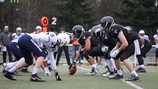 Les Ours de Toulouse, un club de football américain au pays du rugby
