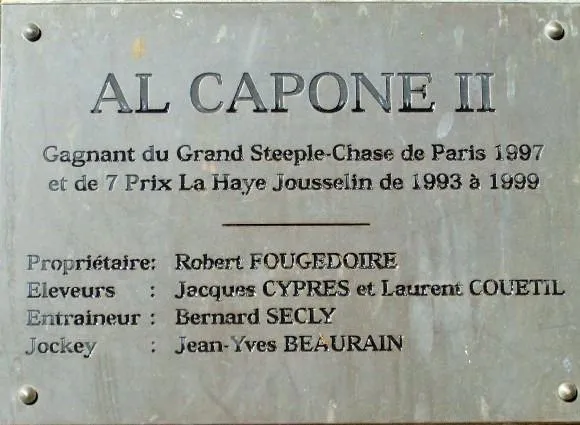 Un cheval de légende: Al Capone II dit Ponpon