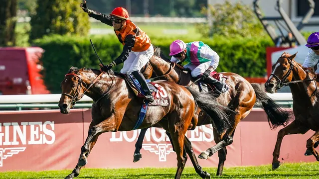 Pronostic Prix de l’Arc de Triomphe 2024 : favoris et meilleures cotes