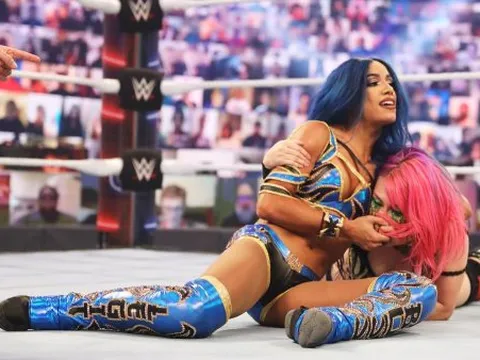 WWE : Résultats des Survivor Series