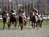 Pronostics Turf du 11/08/2022 : nos outsiders préférés pour Deauville (R5)
