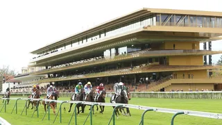 29/05/2022 : nos outsiders préférés pour la réunion de ParisLongchamp !