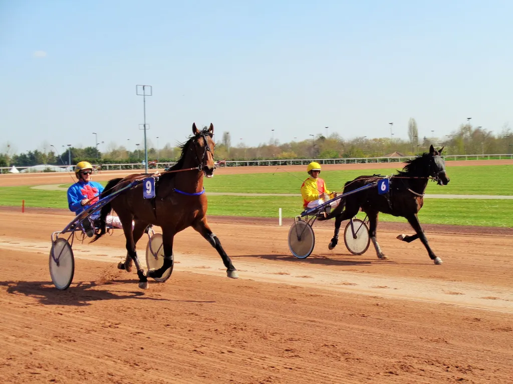 Les trotteurs prennent leurs envol au mois de Mars