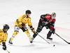 Rouen – Bordeaux : À quelle heure ? Sur quelle chaine TV regarder la finale de Ligue Magnus ?