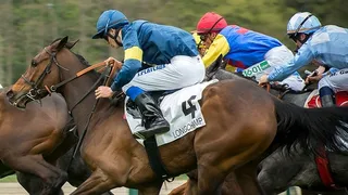 Pronostics Turf du 16/06/2022