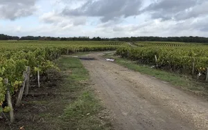Présentation de la Classiques des feuilles mortes (et des vignes) : Paris-Tours