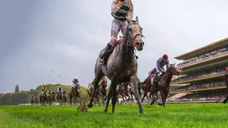 Quinté+ PMU : l’arrivée et les résultats de la course d’hier