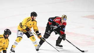 Rouen – Bordeaux : À quelle heure ? Sur quelle chaine TV regarder la finale de Ligue Magnus ?