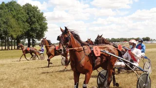 À la découverte de nouveaux talents du sport hippique (numéro 4 )