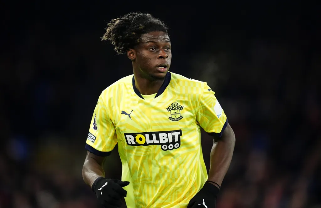 Crystal Palace v Southampton – Premier League – Selhurst Park