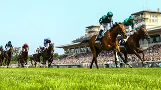 Tout comprendre de la hiérarchie dans les courses de chevaux