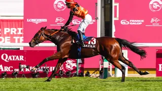 Résultat Prix de l’Arc de Triomphe 2024 / Vainqueur et Quinté dans l’ordre