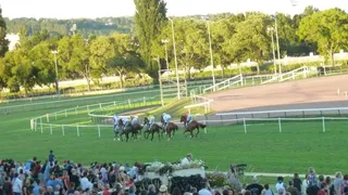 Pronostics Turf du 27/07/2022 : nos chevaux repérés pour Vichy (R3) et Saint-Malo (R4)