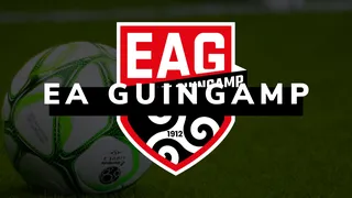 En Avant Guingamp : Une saison moyenne et trop irrégulière