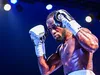 Boxe : le calendrier des combats signés