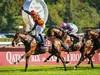 Programme Prix Arc de Triomphe 2024 : date et heure de la course