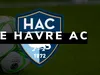 Ligue 1 : le Havre signe une nouvelle recrue !