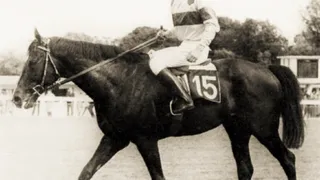 Mes chevaux de légende (série 3: les sauteurs)