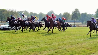 À la découverte de nouveaux talents hippiques (épisode 8 )