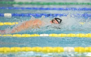 Natation : programme Championnats du monde petit bassin 2024 