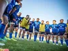 Top 14 : héroïque, Castres renverse Toulon, mais n’ira pas en phases finales