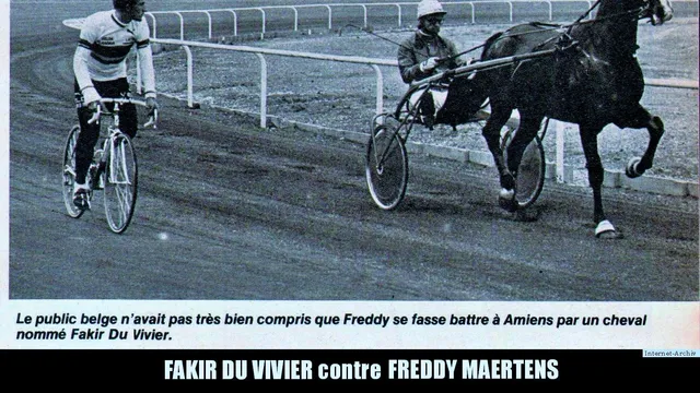 Mes chevaux de légende (série 2 : les Trotteurs)
