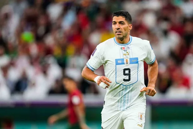 Luis Suarez avec l'Uruguay lors de la Coupe du Monde 2022