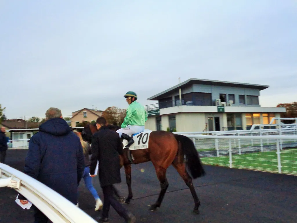 Dobby First le dernier lauréat sur l'hippodrome de Maisons-laffitte...?