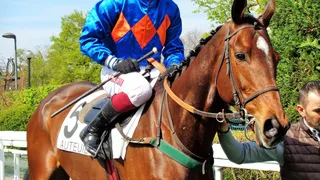 Le Gentil monstre d’Auteuil!