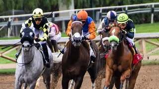 Qatar Prix de l’Arc de Triomphe : ne manquez pas la 100e course le 3 octobre prochain