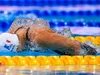 Championnats du Monde Natation 2024 : Le programme et les résultats du jour (16 février)