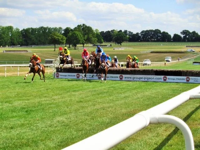L'obstacle est bien représenté sur l'hippodrome de Sénonnes-Pouancé