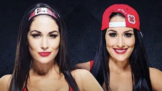 Le retour des Bella Twins , un flop ?