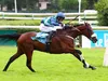 Grand Steeple-Chase de Paris 2022 : SEL JEM triomphe en patron !