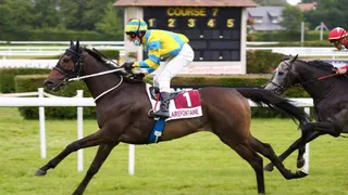 08/06/2022 : nos chevaux repérés pour Amiens (R4)