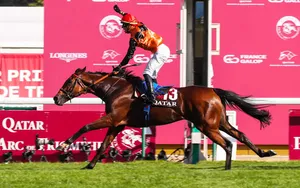 Résultat Prix de l’Arc de Triomphe 2024 / Vainqueur et Quinté dans l’ordre