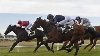 Jockeys : des sportifs de haut niveau, méconnus…