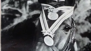 Quand un cheval sauve l’honneur de la France !