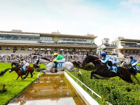 Grand Steeple Chase de Paris 2024 : Date et Programme