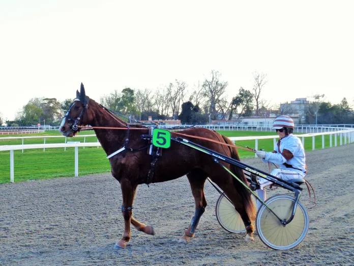 Cagnes sur mer: trot, galop