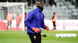 Mercato Rennes : Un indésirable prend son envol